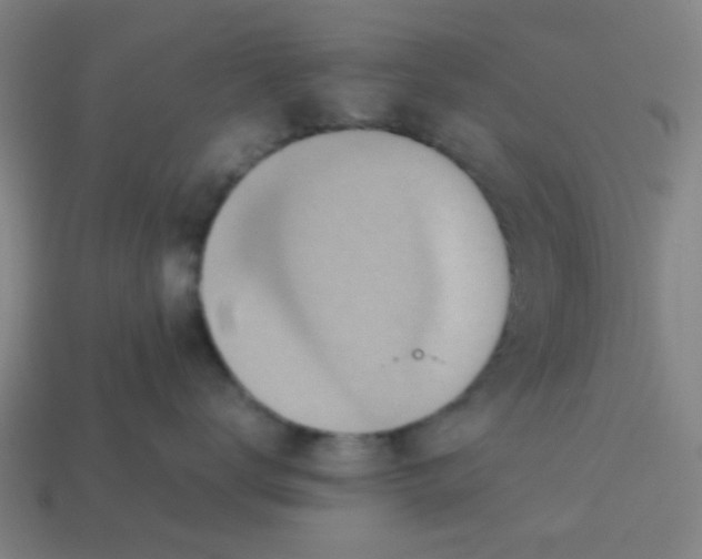X0000113240672200910081259