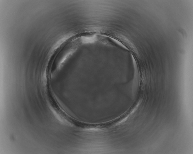 X0000113240674200910081258