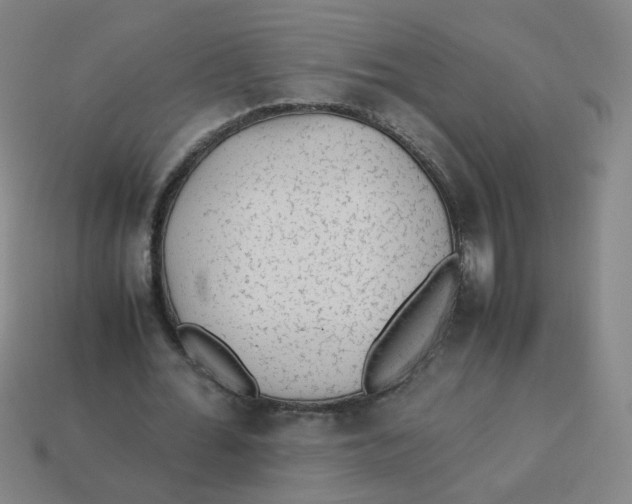 X0000113240676200910081258