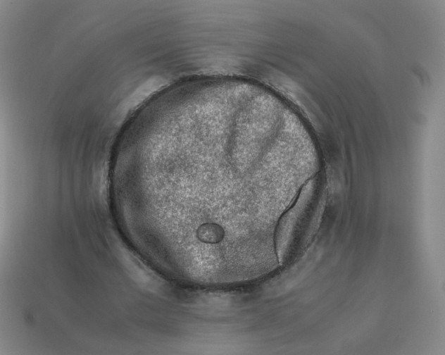 X0000113240677200910081258