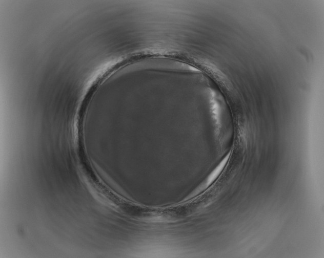 X0000113240678200910081258