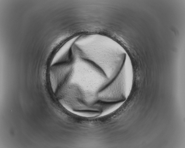X0000113240679200910081258