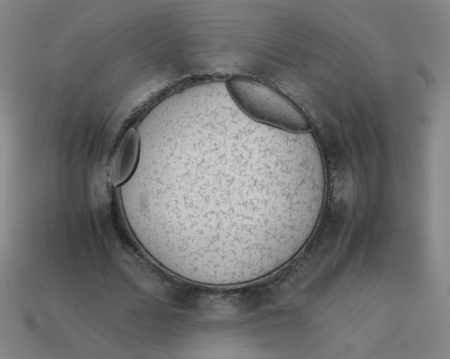X0000113240680200910081258
