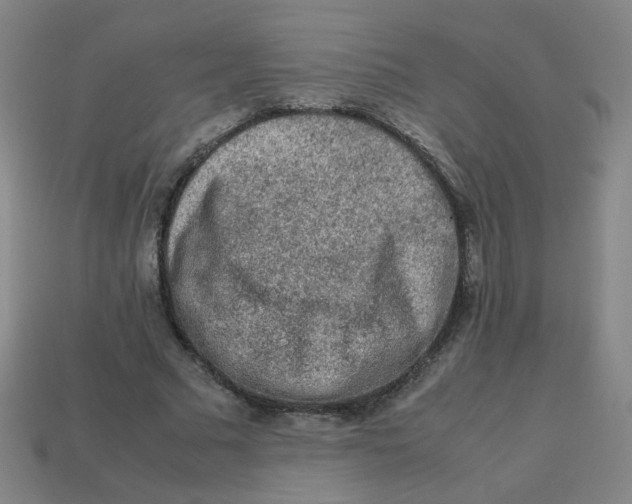 X0000113240681200910081258
