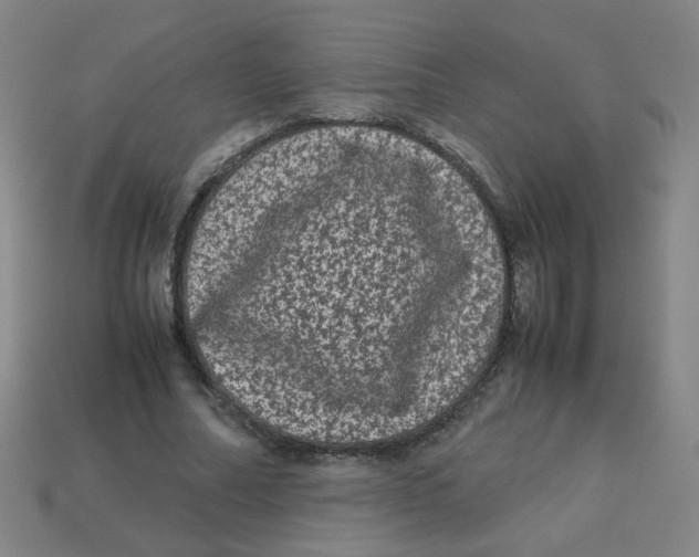 X0000113240682200910081258