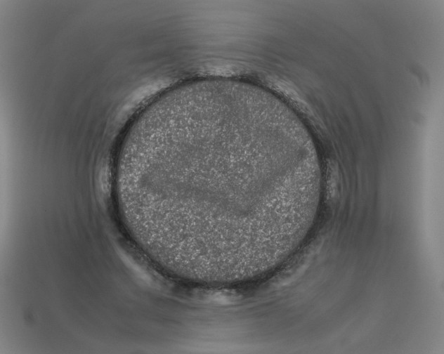 X0000113240683200910081258