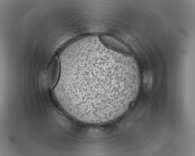 X0000113240684200910081258