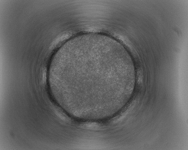 X0000113240685200910081258