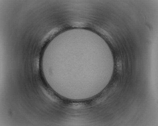 X0000113240686200910081258