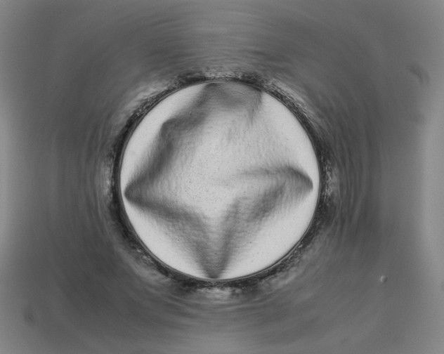 X0000113240687200910081258