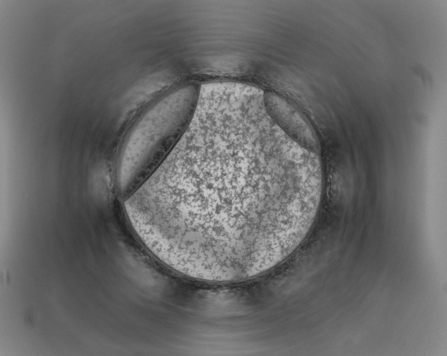X0000113240688200910081258