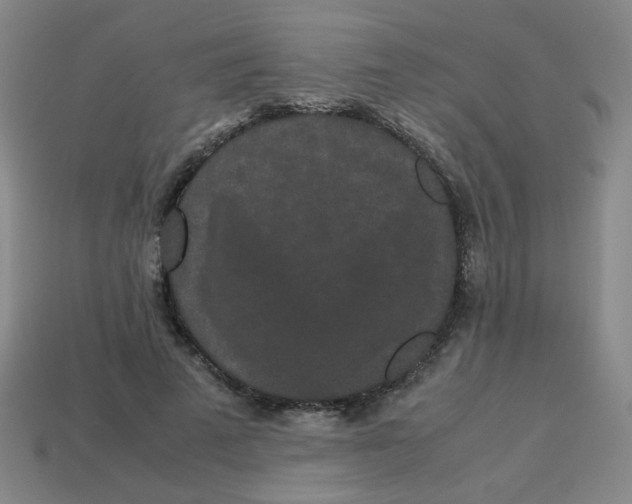X0000113240689200910081258