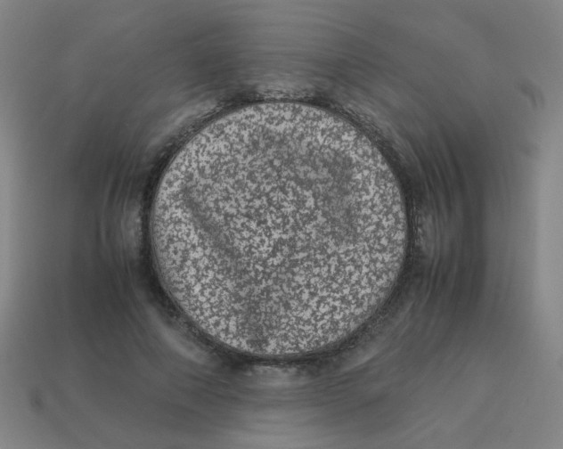 X0000113240690200910081258