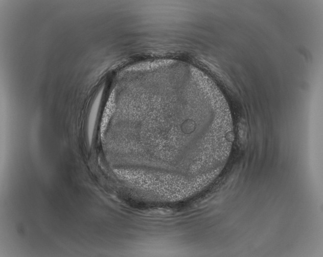 X0000113240691200910081258