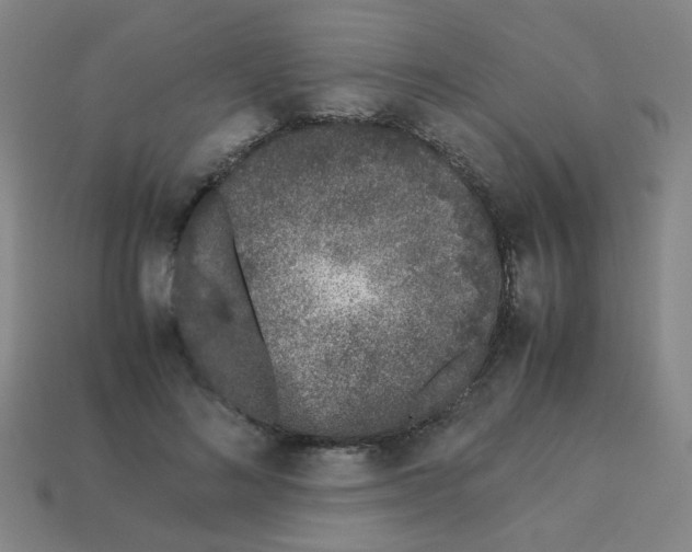 X0000113240692200910081258