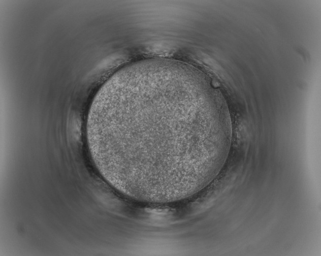X0000113240693200910081258