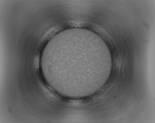 X0000113240694200910081258
