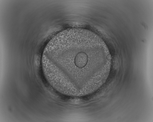 X0000113240695200910081258