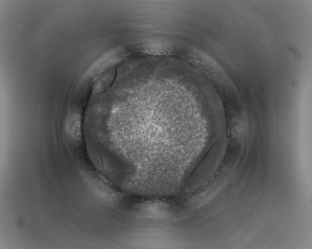 X0000113240696200910081258
