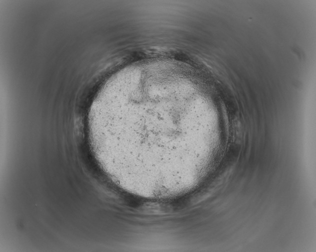 X0000113240699200910081258