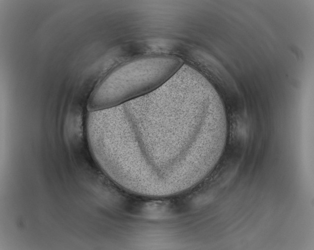 X0000113240700200910081258