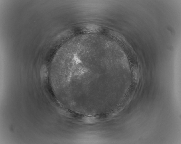 X0000113240701200910081258