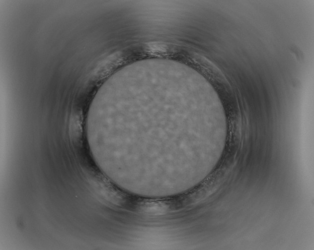 X0000113240702200910081258