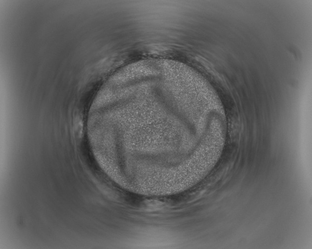 X0000113240703200910081258