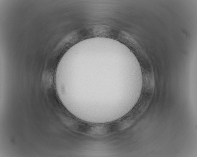 X0000113240705200910081258