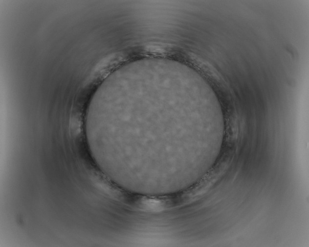 X0000113240706200910081258
