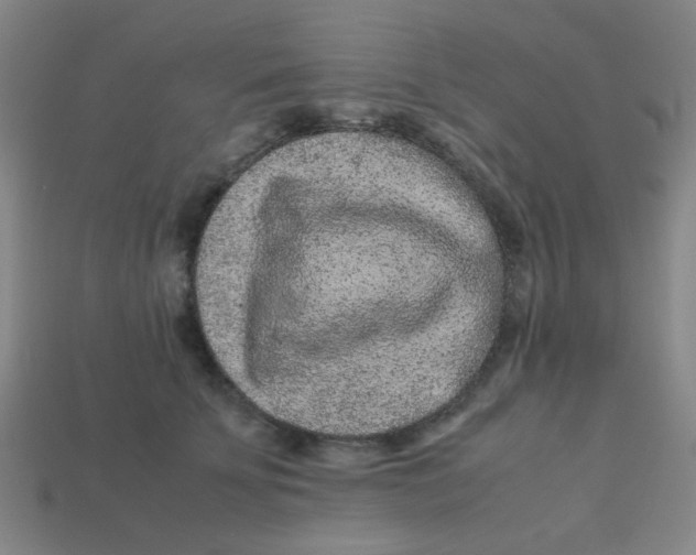 X0000113240707200910081258