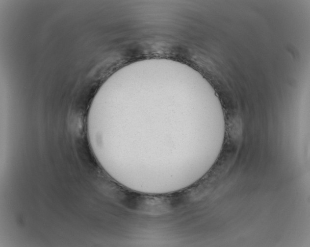 X0000113240709200910081258