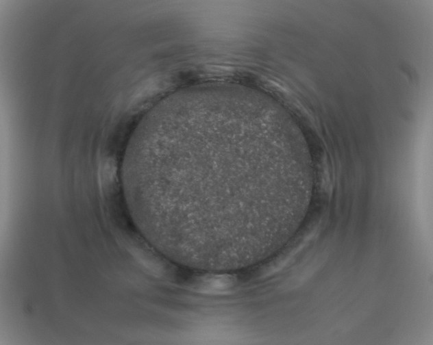 X0000113240711200910081258