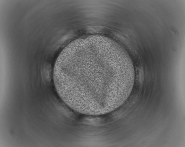 X0000113240712200910081258