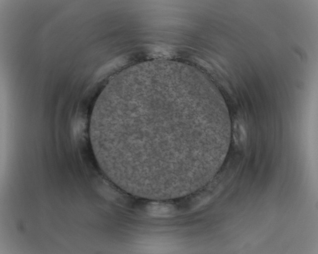 X0000113240714200910081258