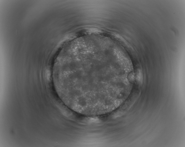 X0000113240715200910081258