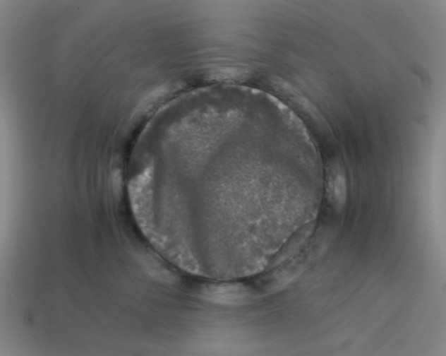 X0000113240716200910081258