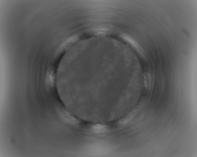 X0000113240718200910081258