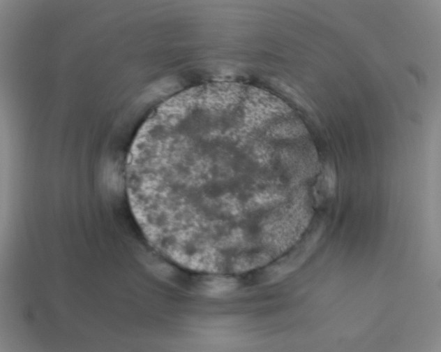 X0000113240719200910081258