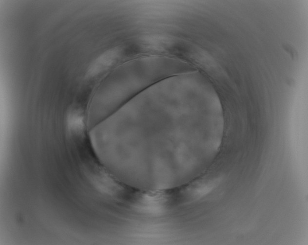 X0000113240720200910081258