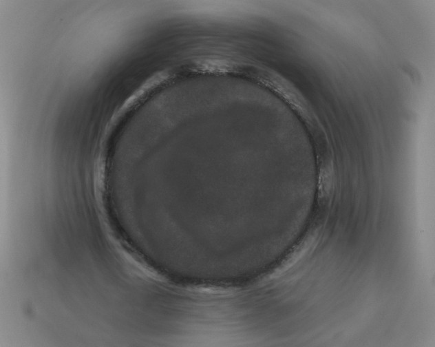 X0000113240722200910081257