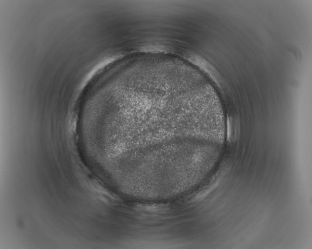 X0000113240723200910081257