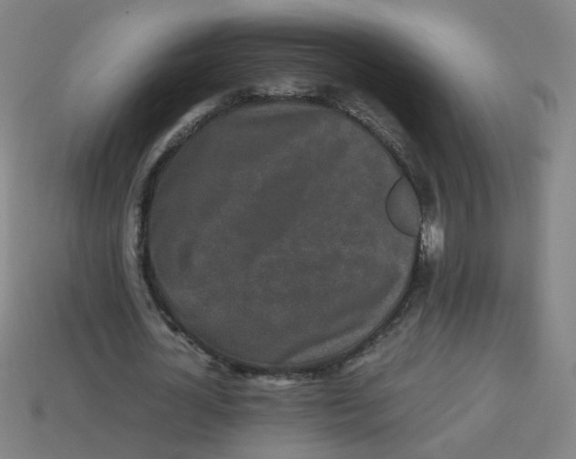 X0000113240724200910081257