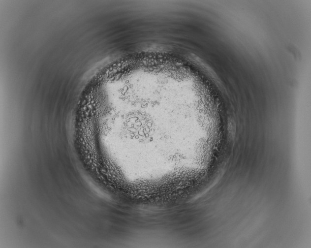 X0000113240725200910081257