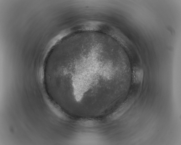 X0000113240726200910081257