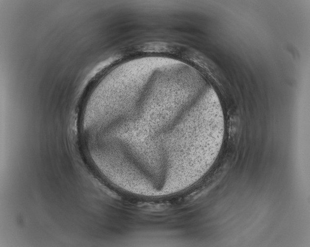 X0000113240727200910081257