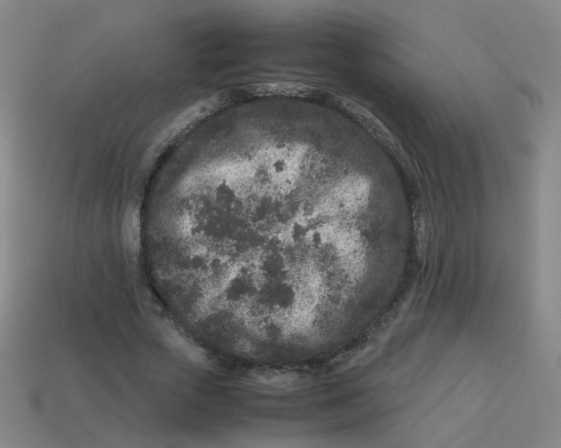 X0000113240729200910081257