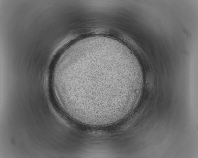 X0000113240730200910081257