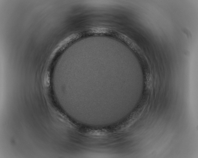 X0000113240731200910081257