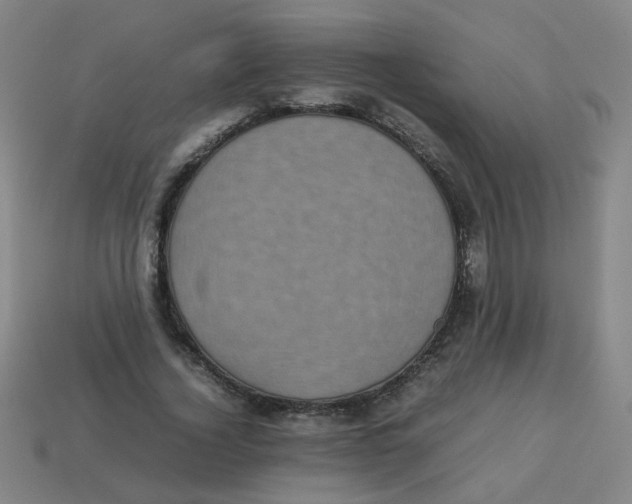 X0000113240732200910081257